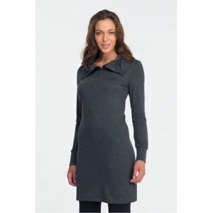 Icebreaker Merino Wool Ariana Dress Sz Small Grey Button Mock Neck
